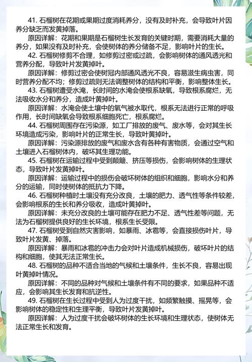 处理办法（针对各原因）