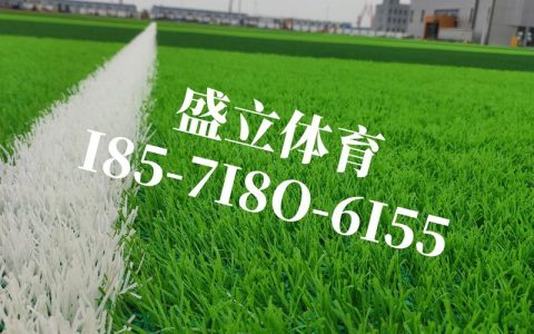 人工绿草坪多少钱一平方？2026年市场价格参考与五大影响因素解析