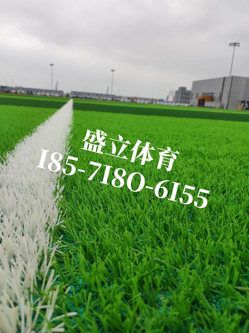 人工绿草坪多少钱一平方？2026年市场价格参考与五大影响因素解析
