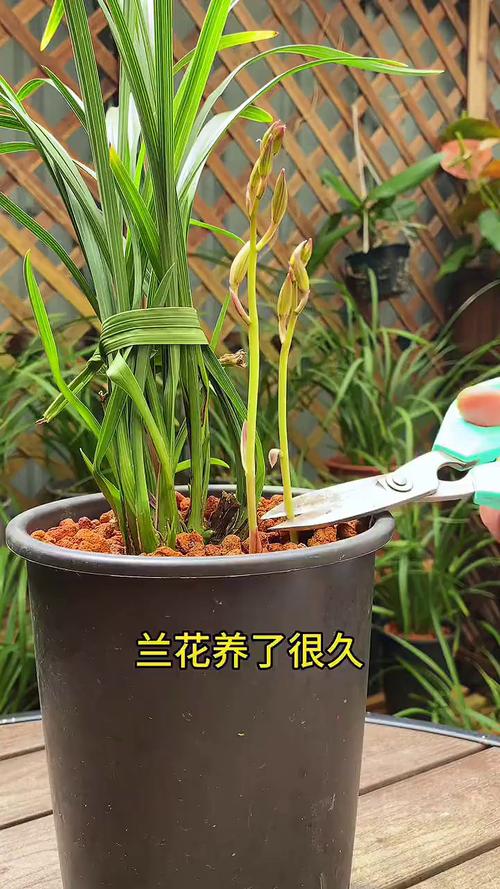 四、常见问题 FAQ
