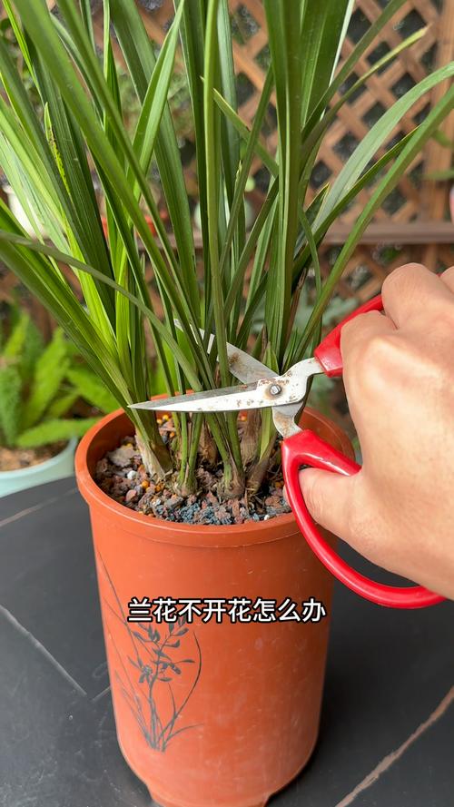 三、常见误区与注意事项