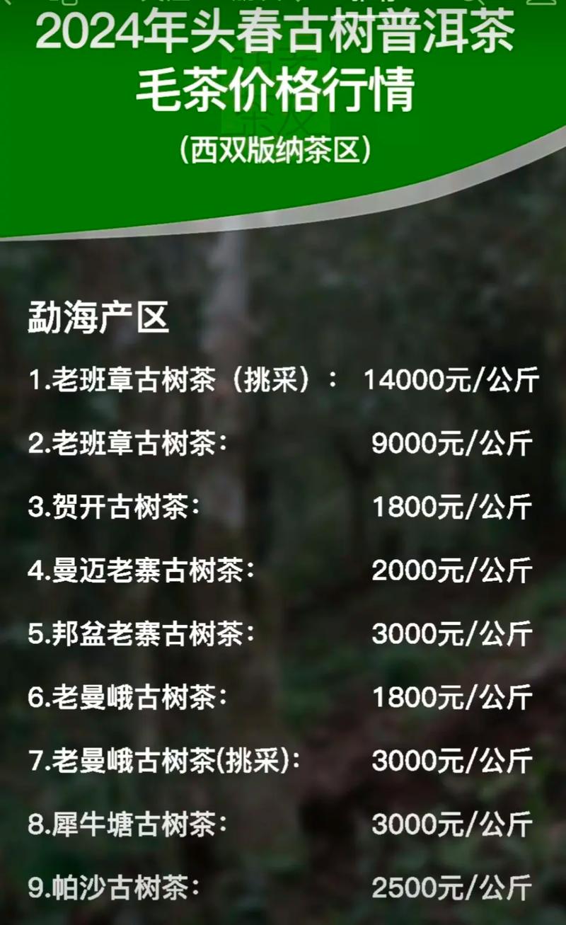 普洱茶茶苗多少钱一颗?2025年价格参考与五项影响因素 获取精准报价