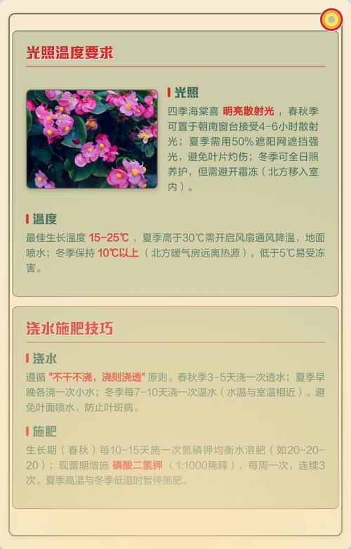 海棠花什么时候开放?春季赏花时间表与全年养护指南 光照与水肥精准方案:花期前后这样管