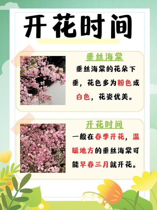 海棠花什么时候开放?春季赏花时间表与全年养护指南 FAQ(与正文内容一致)