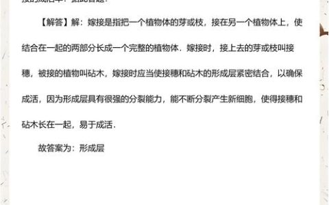 嫁接果苗成活率翻倍的核心技术：接穗选择、砧木配对与操作全流程