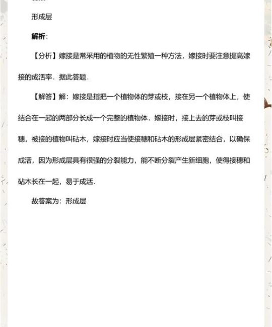 嫁接果苗成活率翻倍的核心技术：接穗选择、砧木配对与操作全流程