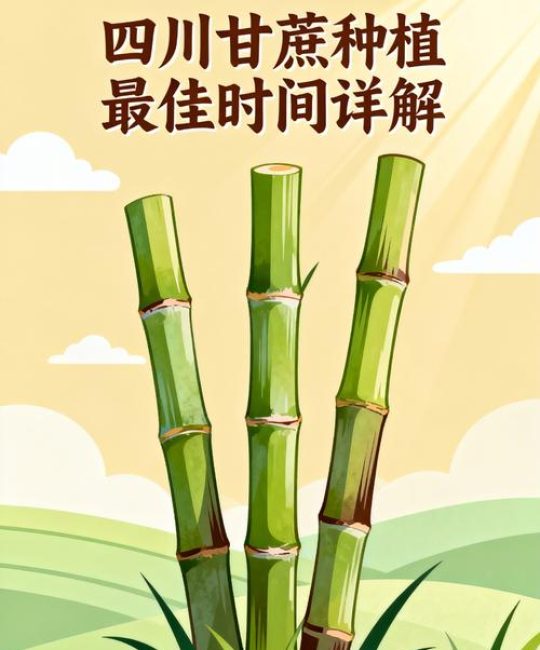 甘蔗种植时间指南：选对季节，高产第一步