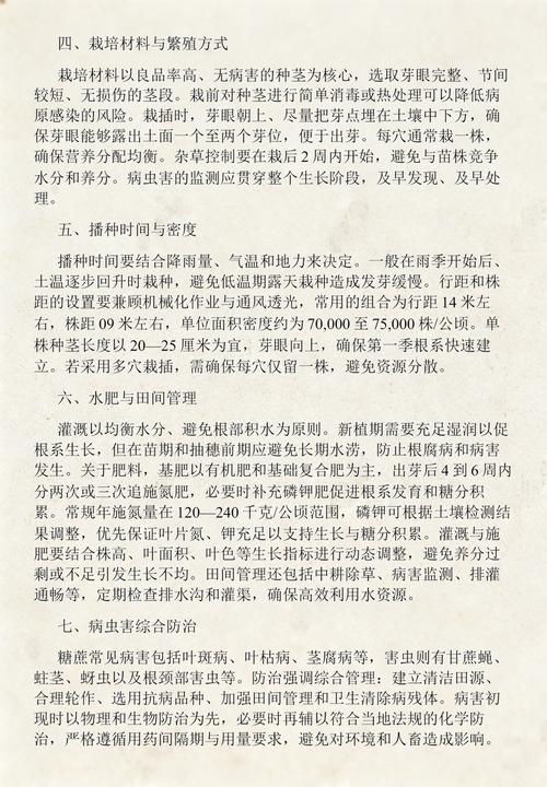 四、栽植深度与操作