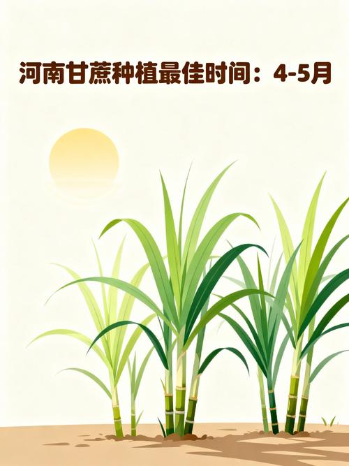 五、浇定根水