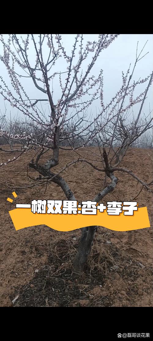 总结与验证