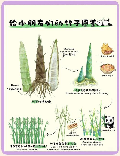 常见误区纠正