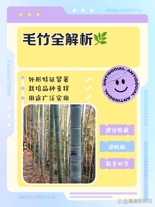 结语