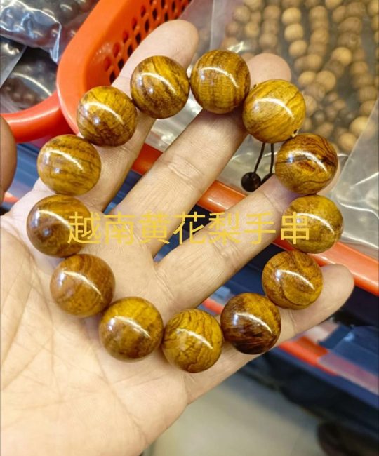 越南黄花梨值钱吗？——从园艺与收藏角度全面解析
