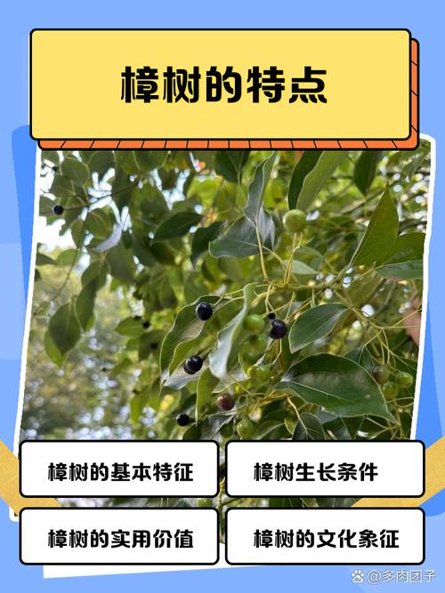 总结