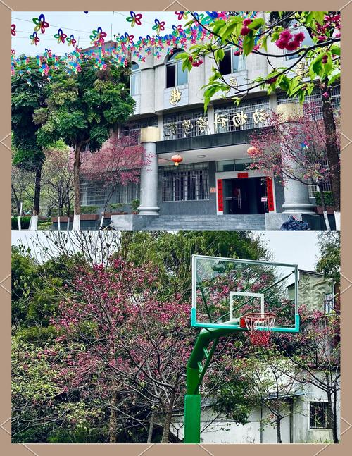 华农樱花观赏指南:校园最佳赏樱地点全攻略 结语