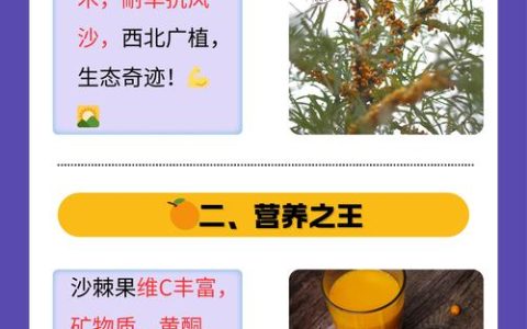 沙棘种子采购指南：科学选择可靠供应商的四大核查步骤