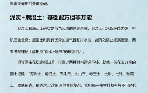 泥炭土可以养茶花吗？茶花土壤配比与养护全攻略