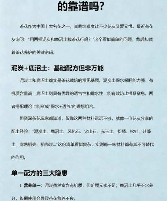 泥炭土可以养茶花吗？茶花土壤配比与养护全攻略