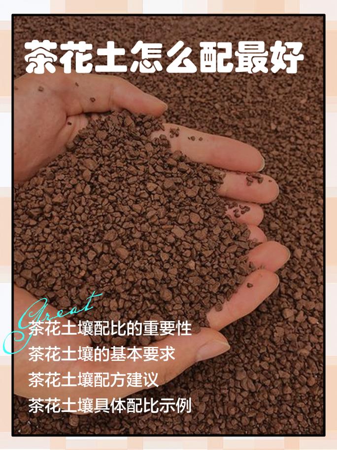 泥炭土可以养茶花吗?茶花土壤配比与养护全攻略 常见误区与纠正