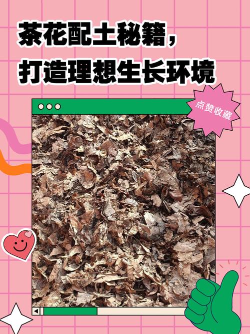泥炭土可以养茶花吗?茶花土壤配比与养护全攻略 FAQ