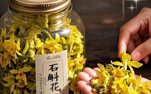 霍山石斛花多少钱一克？2025年市场参考价格全解析