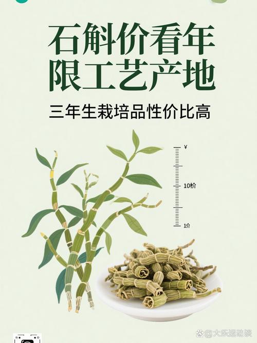 霍山石斛花多少钱一克?2025年市场参考价格全解析 规格、产地、季节、数量、运输综合参考表