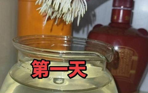 洋葱怎么水培当花养