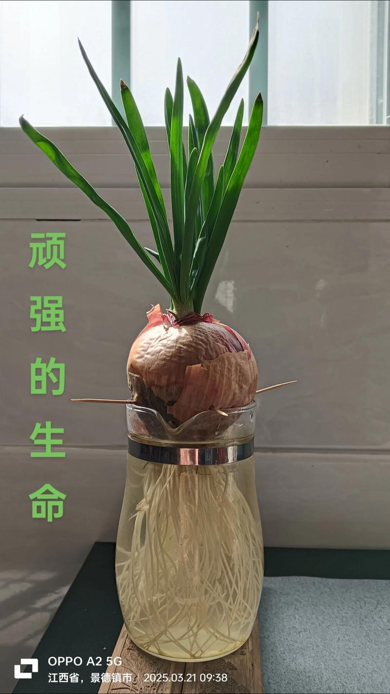 常见错误及解决办法