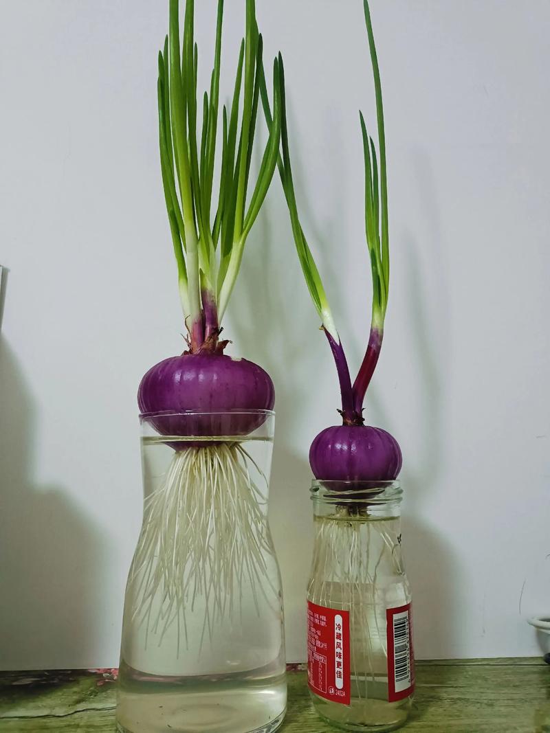 扩繁控制（防止过度生长）