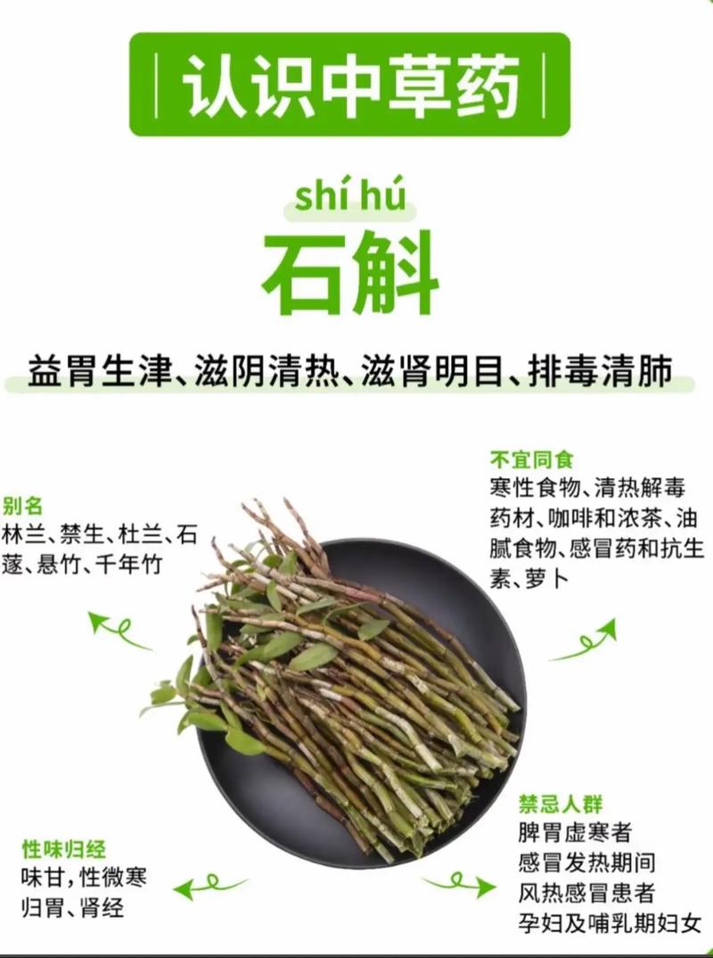 石斛用什么种?从繁殖到基质一次搞懂 四、石斛种植与养护关键