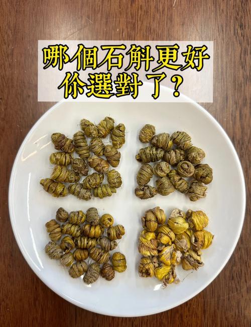 石斛用什么种?从繁殖到基质一次搞懂 五、常见误区提醒
