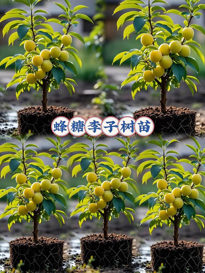 常见问题（FAQ）