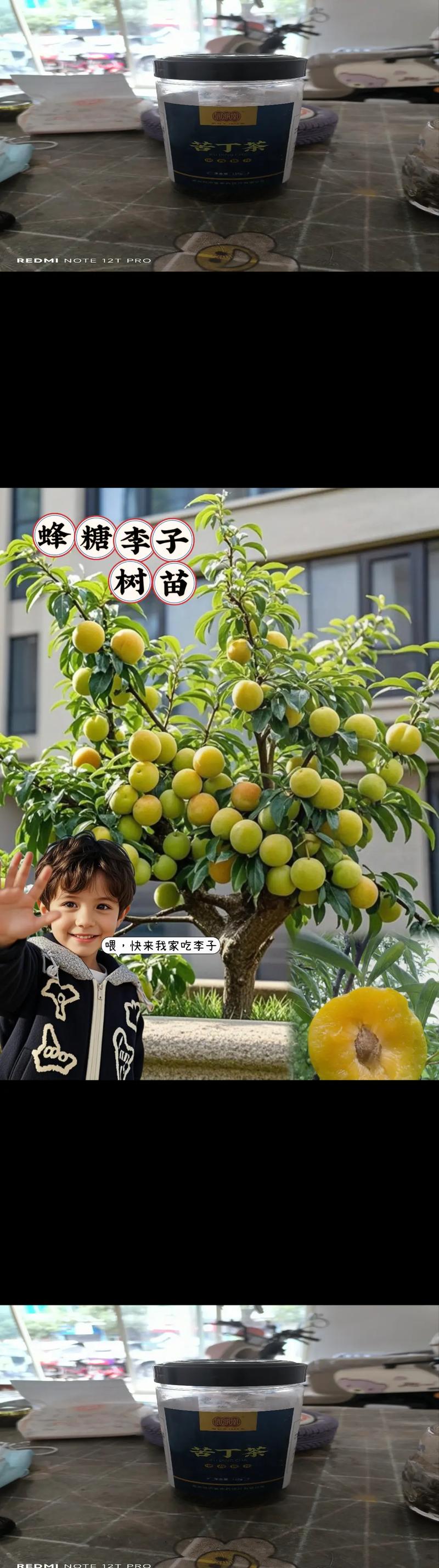 采购时关注嫁接口、根系和苗龄（黄金三重检验）