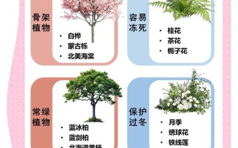东北庭院适合种植什么树：耐寒乔木与灌木种植指南