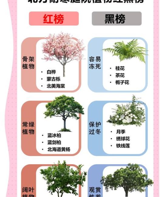 东北庭院适合种植什么树：耐寒乔木与灌木种植指南