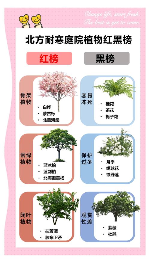 东北庭院适合种植什么树:耐寒乔木与灌木种植指南 推荐树种与特性对比
