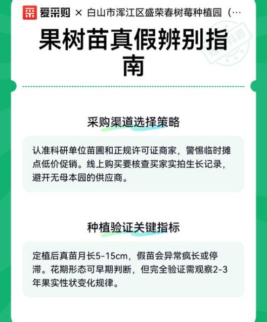如何找到可靠的果树苗批发市场？采购渠道分析专家教你三步验证法