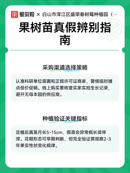 第一步：筛选与核实市场资质