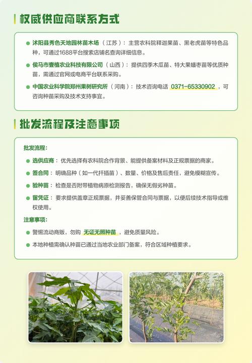 第二步：现场或远程核查品种真实性与规格