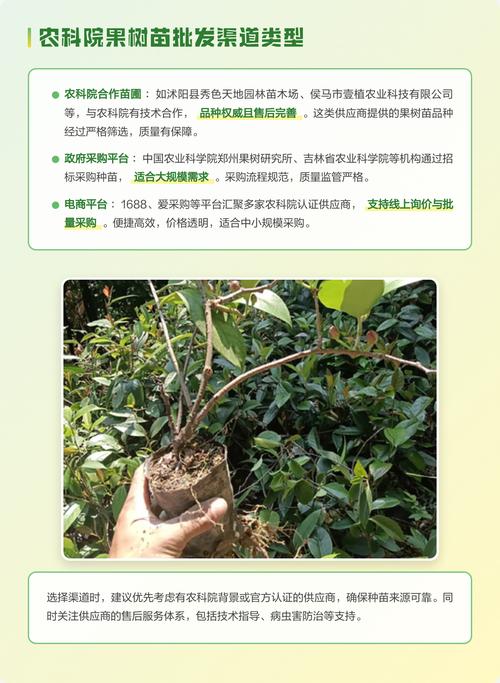 采购决策与风险规避