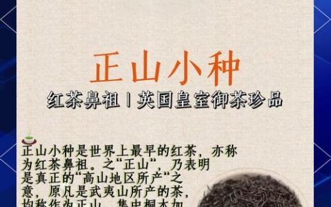 正山小种属于绿茶吗？