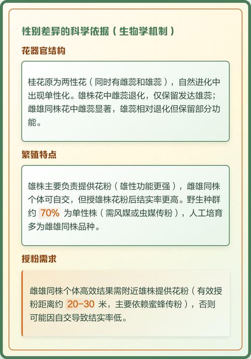 二、为什么你家的桂花从不结果？