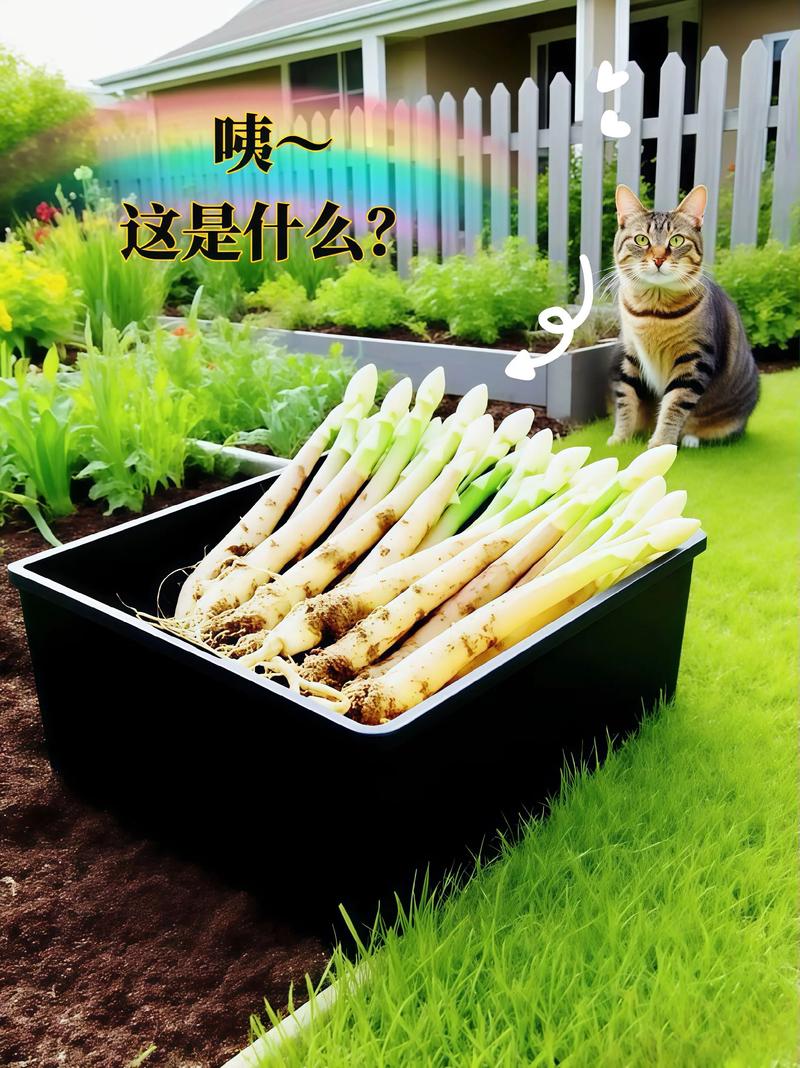 结语
