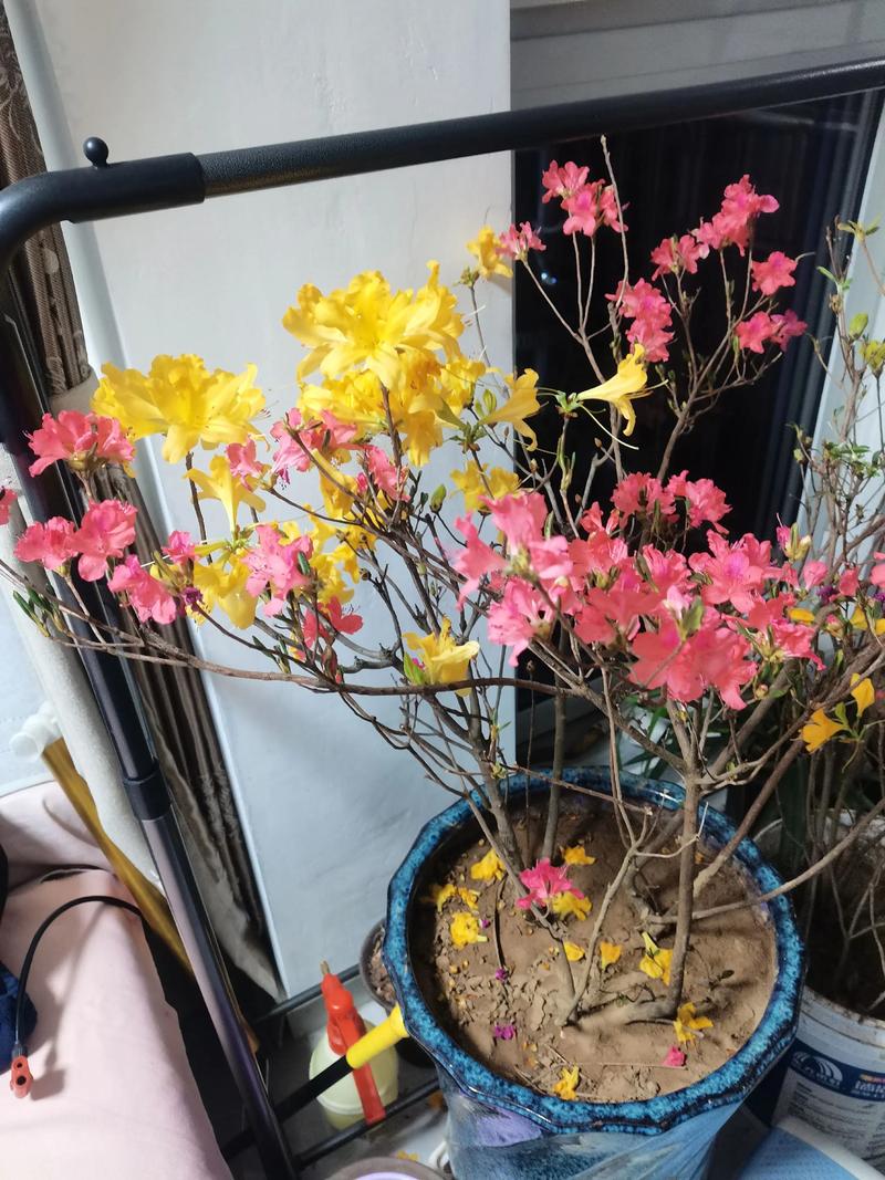 运输成本：别忽略到货总价