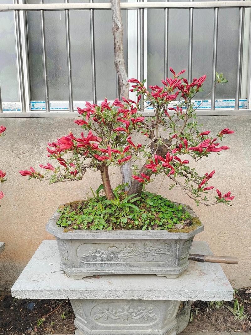 数量越大，单价越容易下降