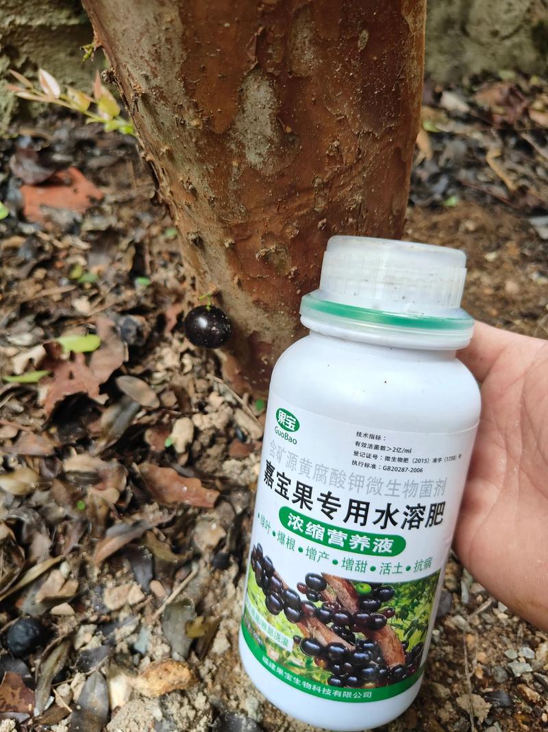 葡萄树黄叶病怎么治?4步精准诊断与防治全攻略 葡萄树黄叶病怎么治?4步精准诊断与防治全攻略