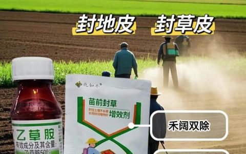 乙草胺除草剂使用方法：最佳施药时间与安全操作指南
