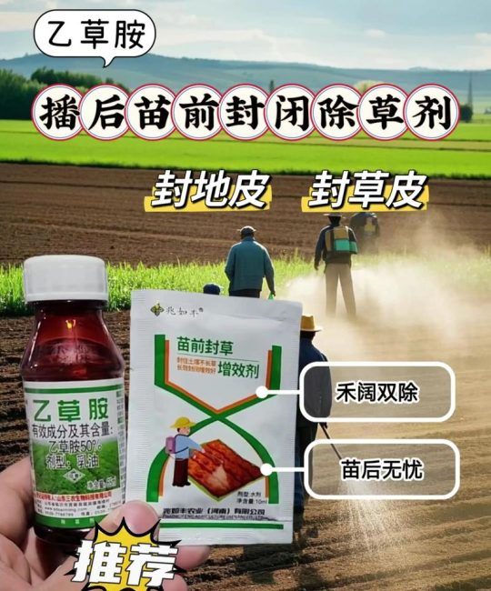 乙草胺除草剂使用方法：最佳施药时间与安全操作指南