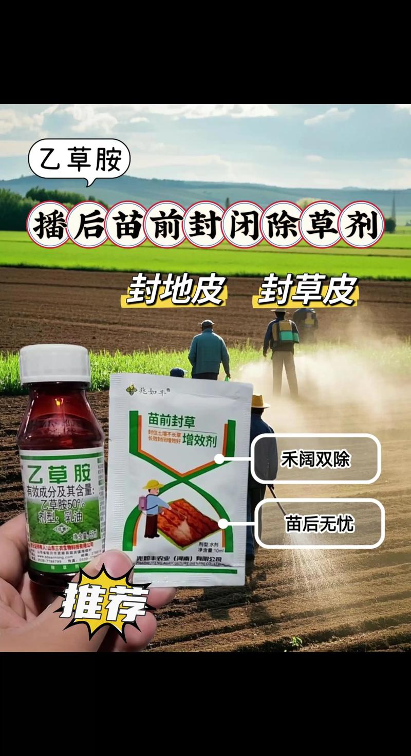 乙草胺除草剂使用方法:最佳施药时间与安全操作指南 乙草胺除草剂使用方法:最佳施药时间与安全操作指南