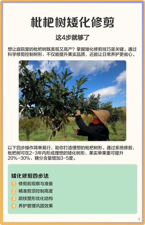 三、 光照管理